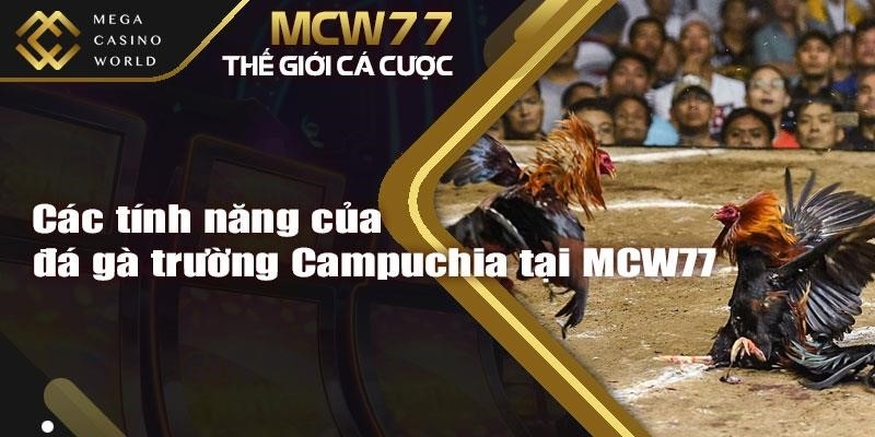 Các tính năng của đá gà trường Campuchia tại MCW77