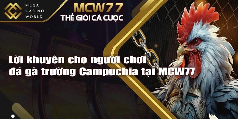Lời khuyên cho người chơi đá gà trường Campuchia tại MCW77